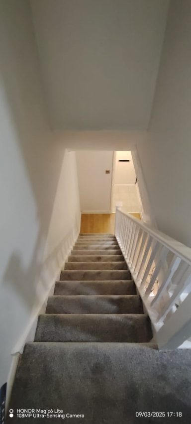 View down a carpeted staircase leading to a hallway with wooden flooring.